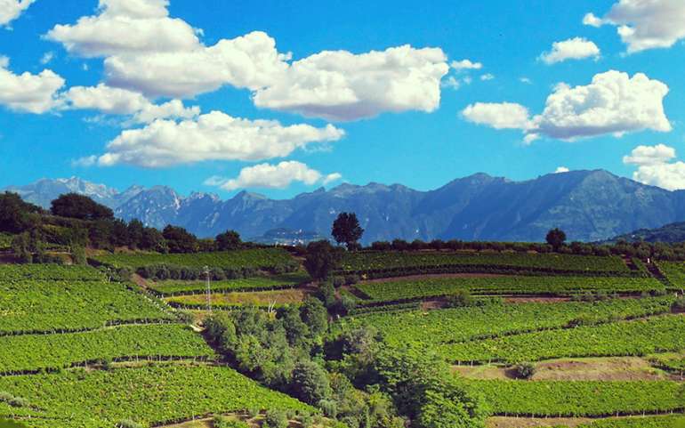 Cantina di Monteforte, piΓΉ vicina a voi!