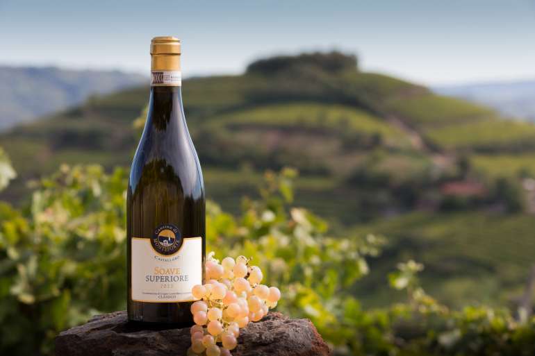 Wine Enthusiast – Soave Classico Superiore DOCG 2016 Castellaro